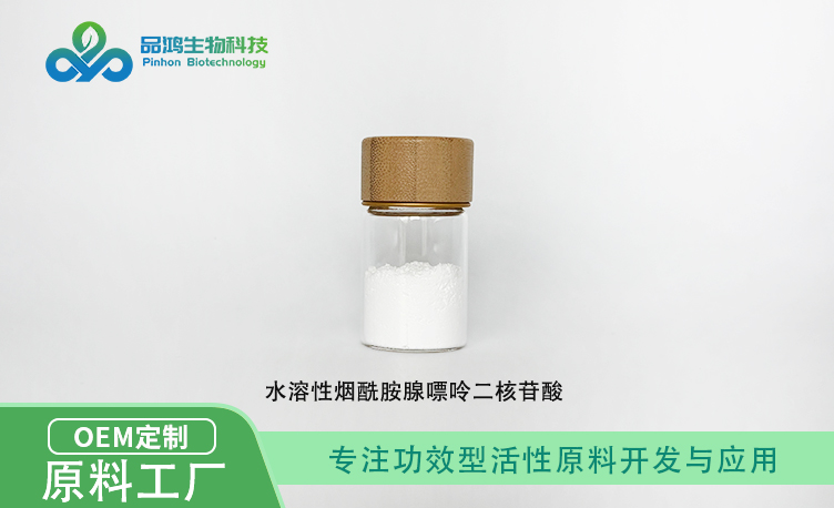 烟酰胺腺嘌呤二核苷酸 NAD99.5%